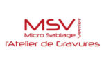 Logo MSV