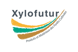 Xylofutur